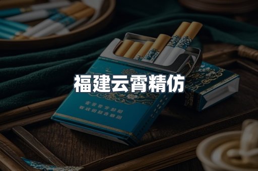 福建云霄精仿